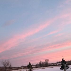 Meet your Posher, Talya